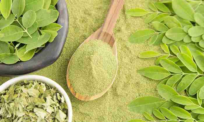 Moringa Bio: L’Antibiotico Naturale che Rivoluziona il Benessere 31 Moringa Bio: L’Antibiotico Naturale che Sta Rivoluzionando il Benessere